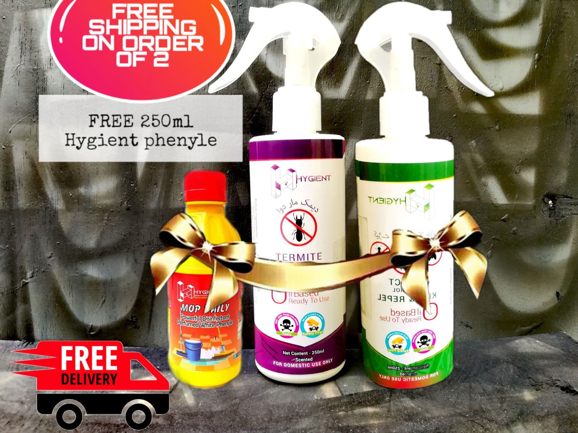 BUNDLE OF 2 HYGIENT INSECT & TERMITE CONTROL SPRAYS WITH A FREE HYGIENT CONCENTRATED  PHENYLE 250ml - image 2