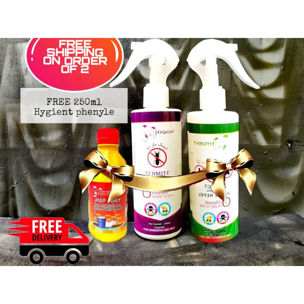 BUNDLE OF 2 HYGIENT INSECT & TERMITE CONTROL SPRAYS WITH A FREE HYGIENT CONCENTRATED  PHENYLE 250ml - image 1