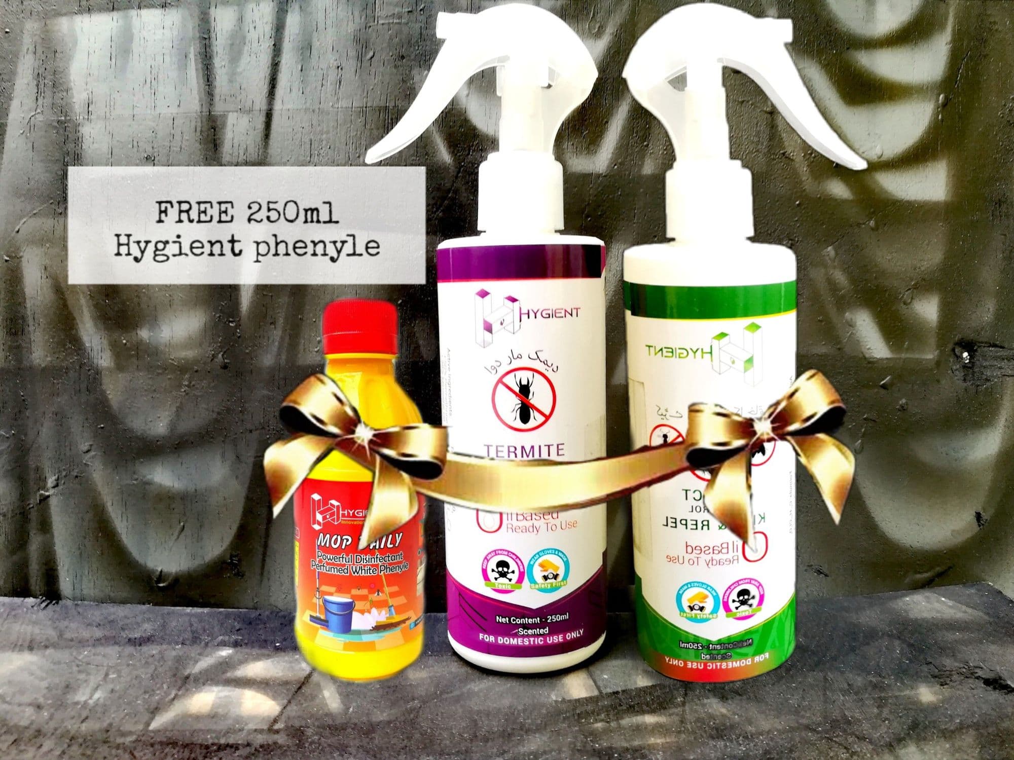 BUNDLE OF 2 HYGIENT INSECT & TERMITE CONTROL SPRAYS WITH A FREE HYGIENT CONCENTRATED  PHENYLE 250ml - image 3